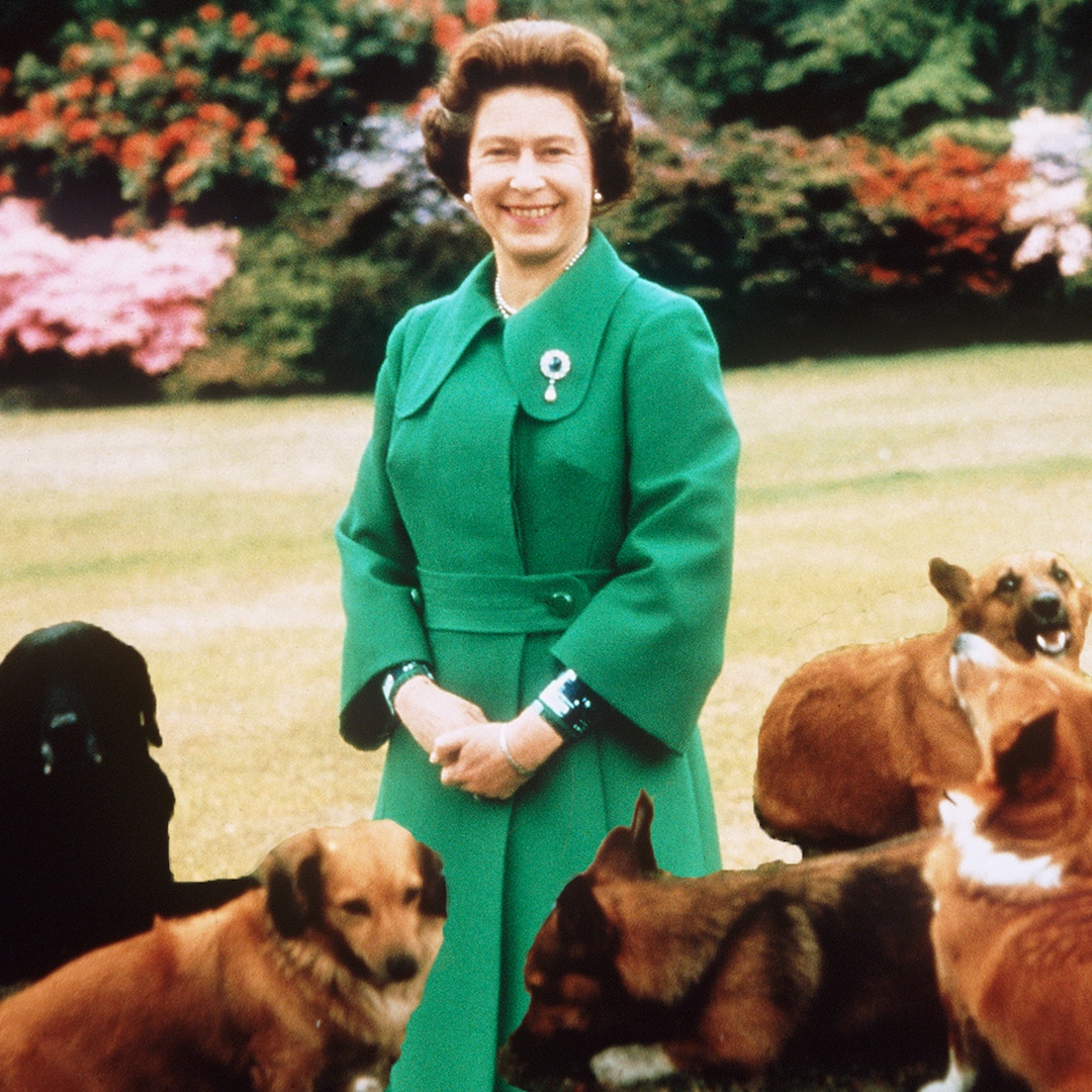 queen elizabeth corgi death dogs